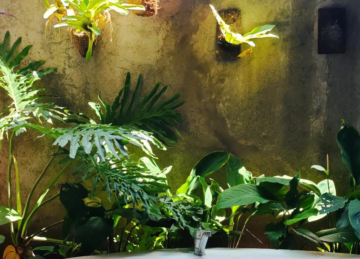 אובוד Female-Only Solowe Home Villa