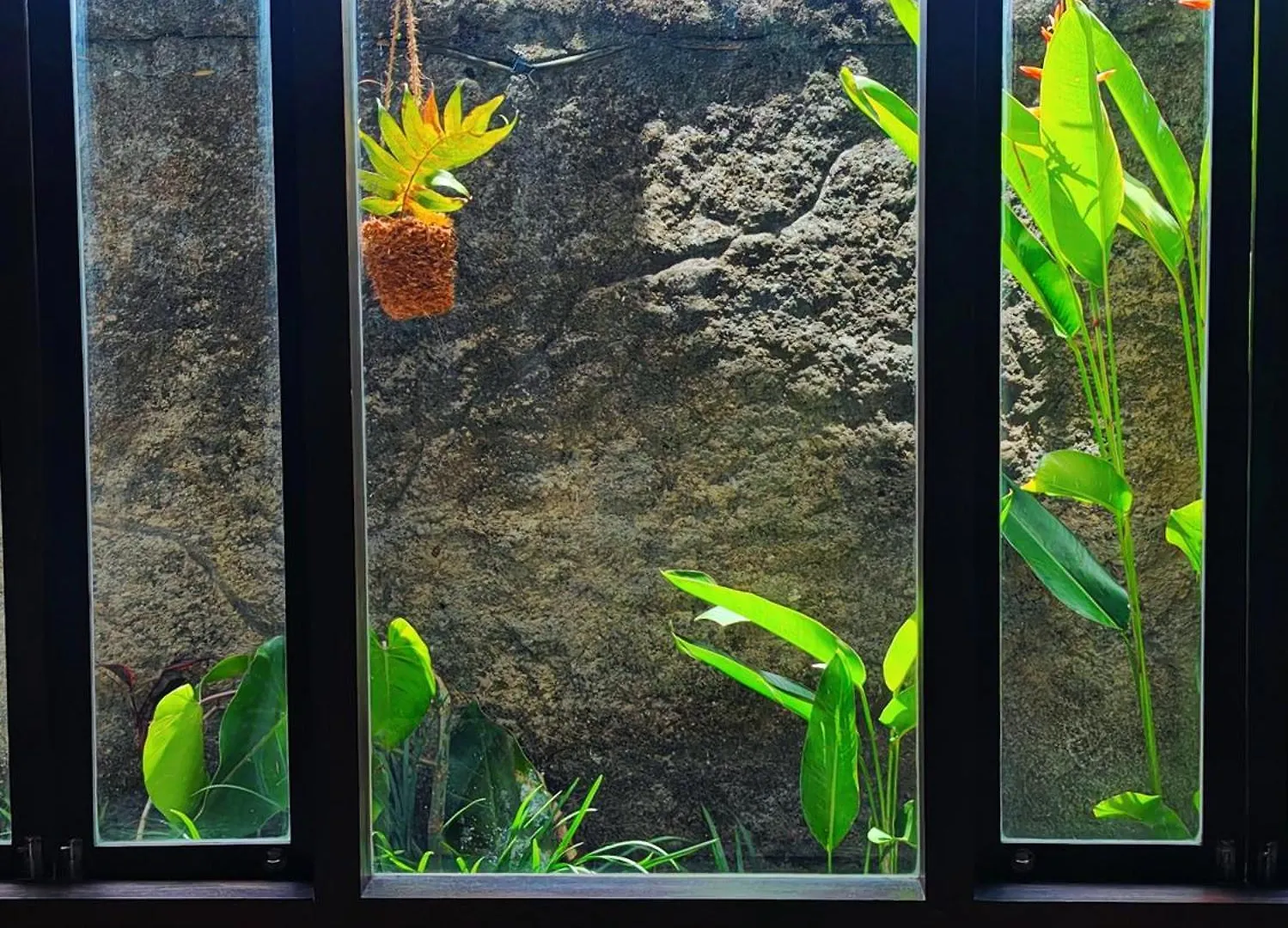 אובוד Female-Only Solowe Home Villa
