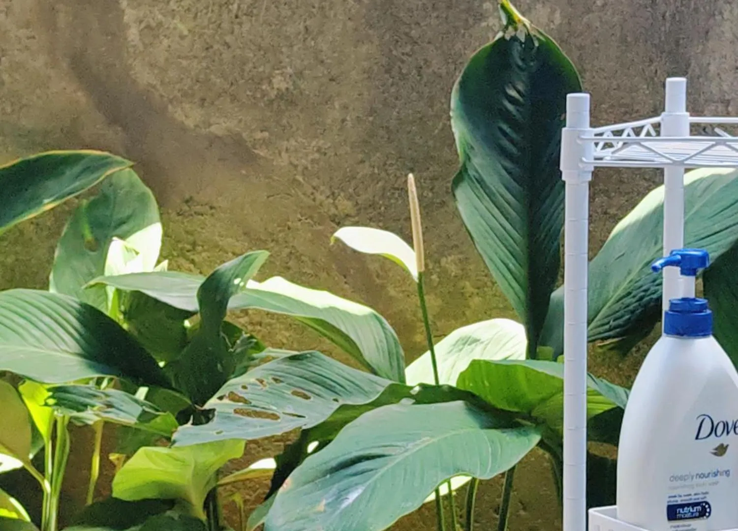 Female-Only Solowe Home Villa Ubud  Ubud (Bali)