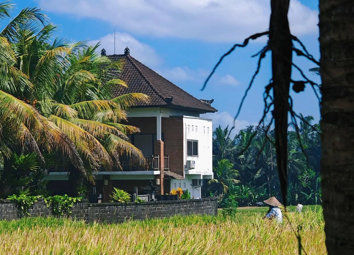 Female-Only Solowe Home Villa Ubud  Guest house