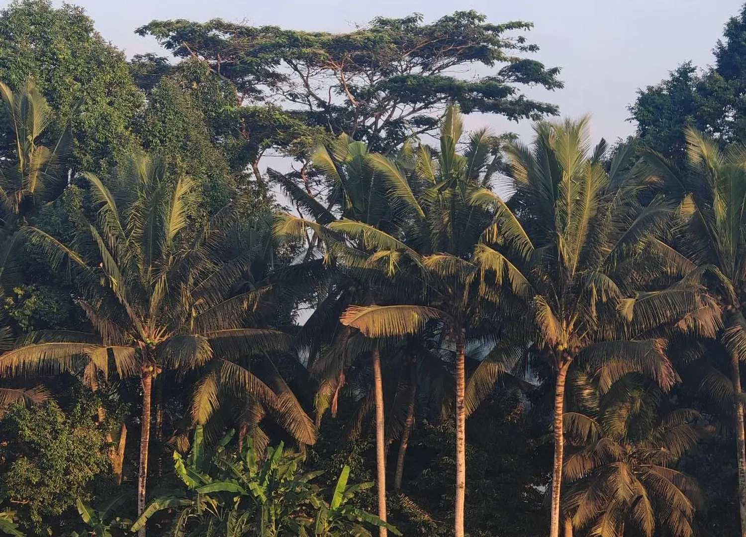 Female-Only Solowe Home Villa Ubud  0*, Ubud (Bali)